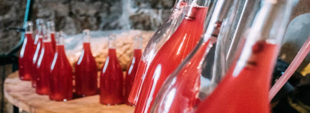 Oenotourisme - Egiategia - Hendaye Tourisme