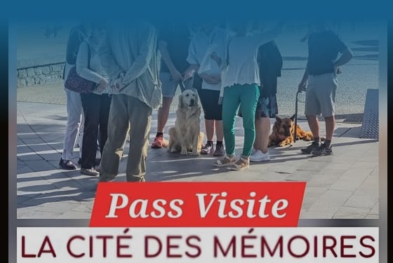 Pass visite acplage - Hendaye Tourisme