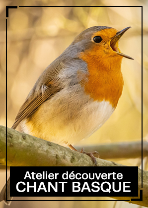 Atelier chants basques Atelier chants basques