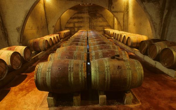 Domaine Etienne Brana - Barriques - Saint Jean Pied de Port